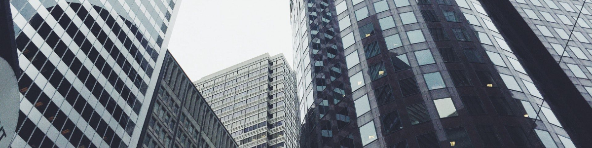 揭开香港商业公司登记号查询的神秘面纱