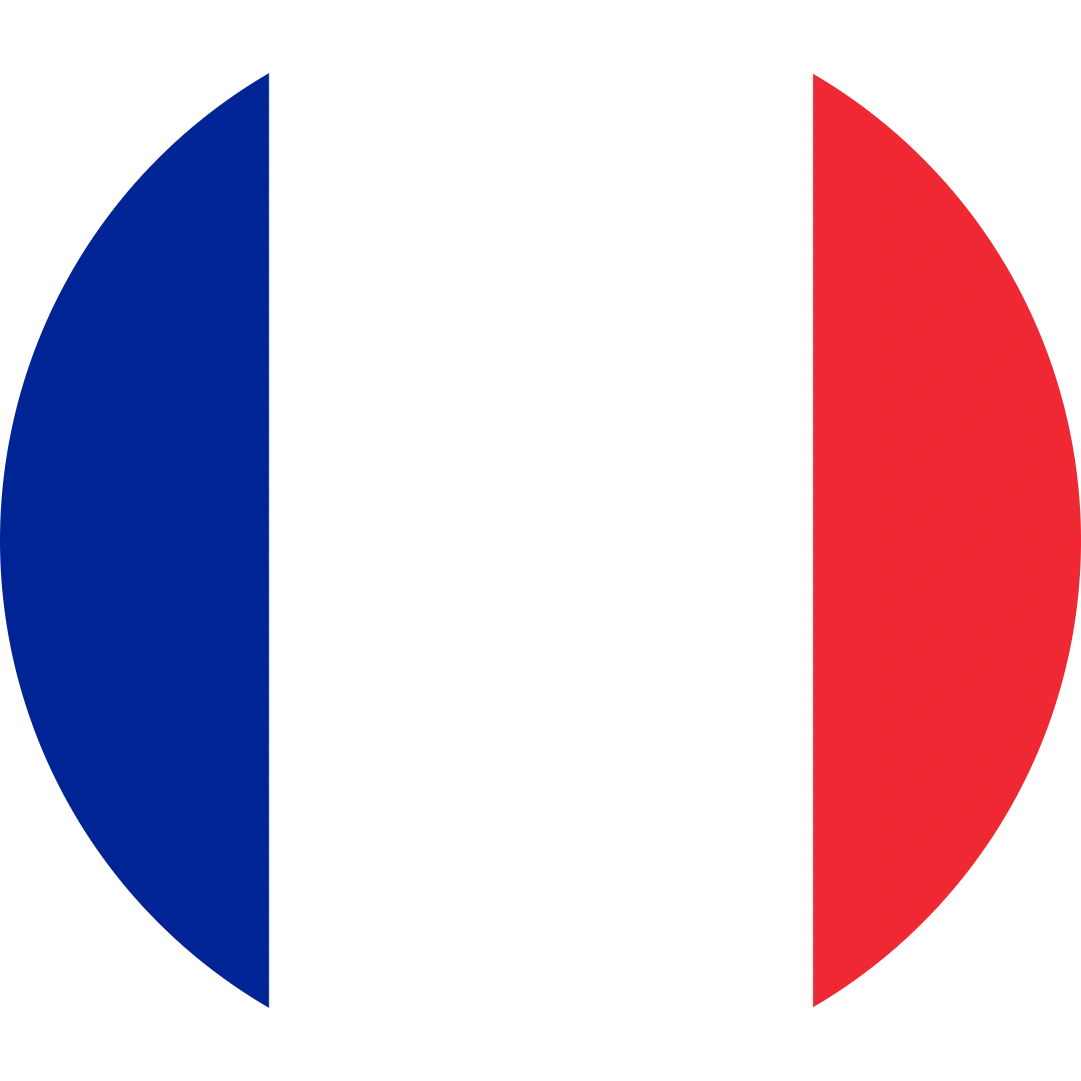 法国公司